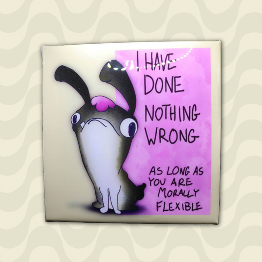 I Have Done Nothing Wrong...